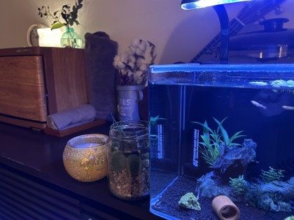 メンズエステMOCA（モカ）の店舗画像03