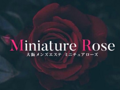 一覧画像：Miniature Rose（ミニチュアローズ）
